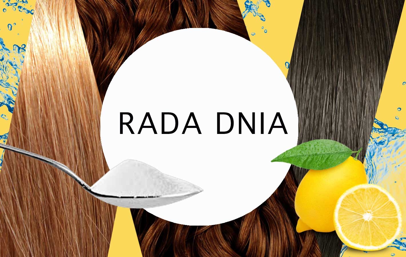 Rada dnia