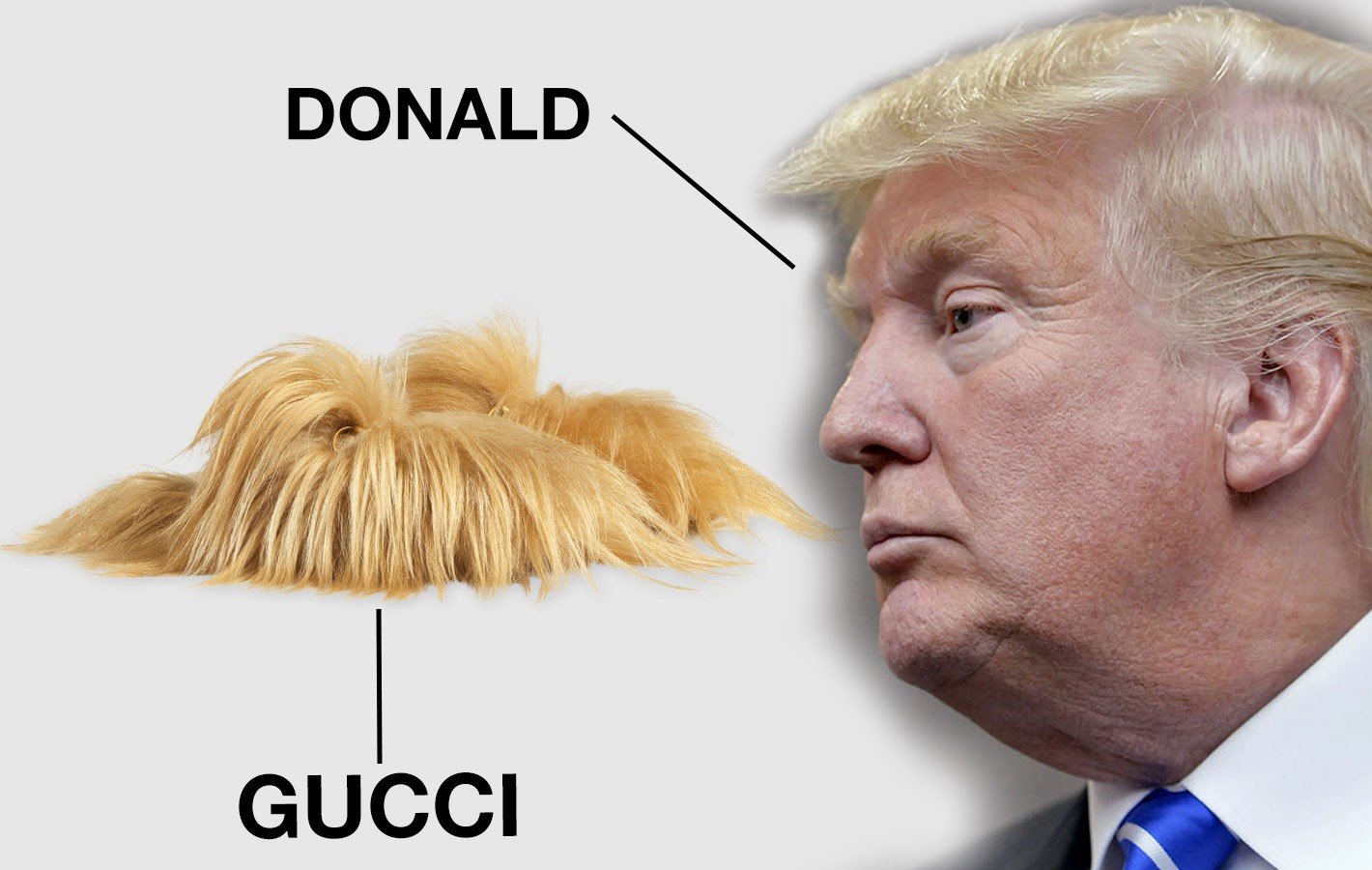 Czy Gucci inspiruje się Donaldem Trumpem?