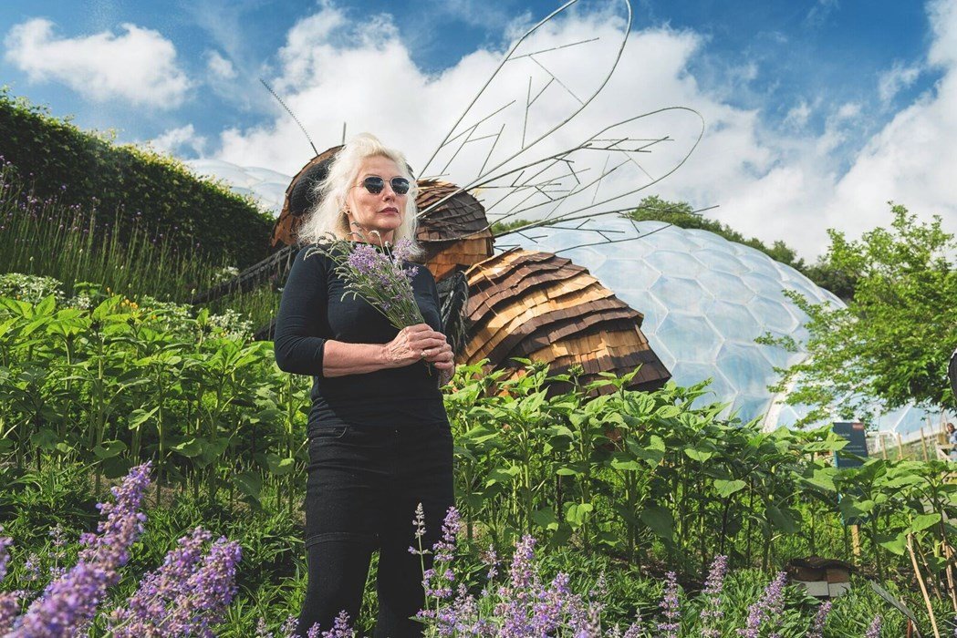 Debbie Harry walczy o pszczoły
