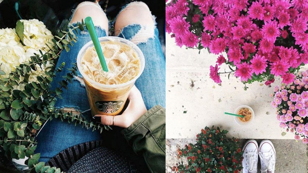 Starbucks otwiera swoją plantacje kawy dla zwiedzających!