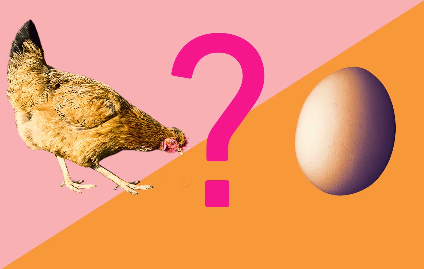 Wielkanoc 2017: co było pierwsze – jajko czy kura? [SONDA]