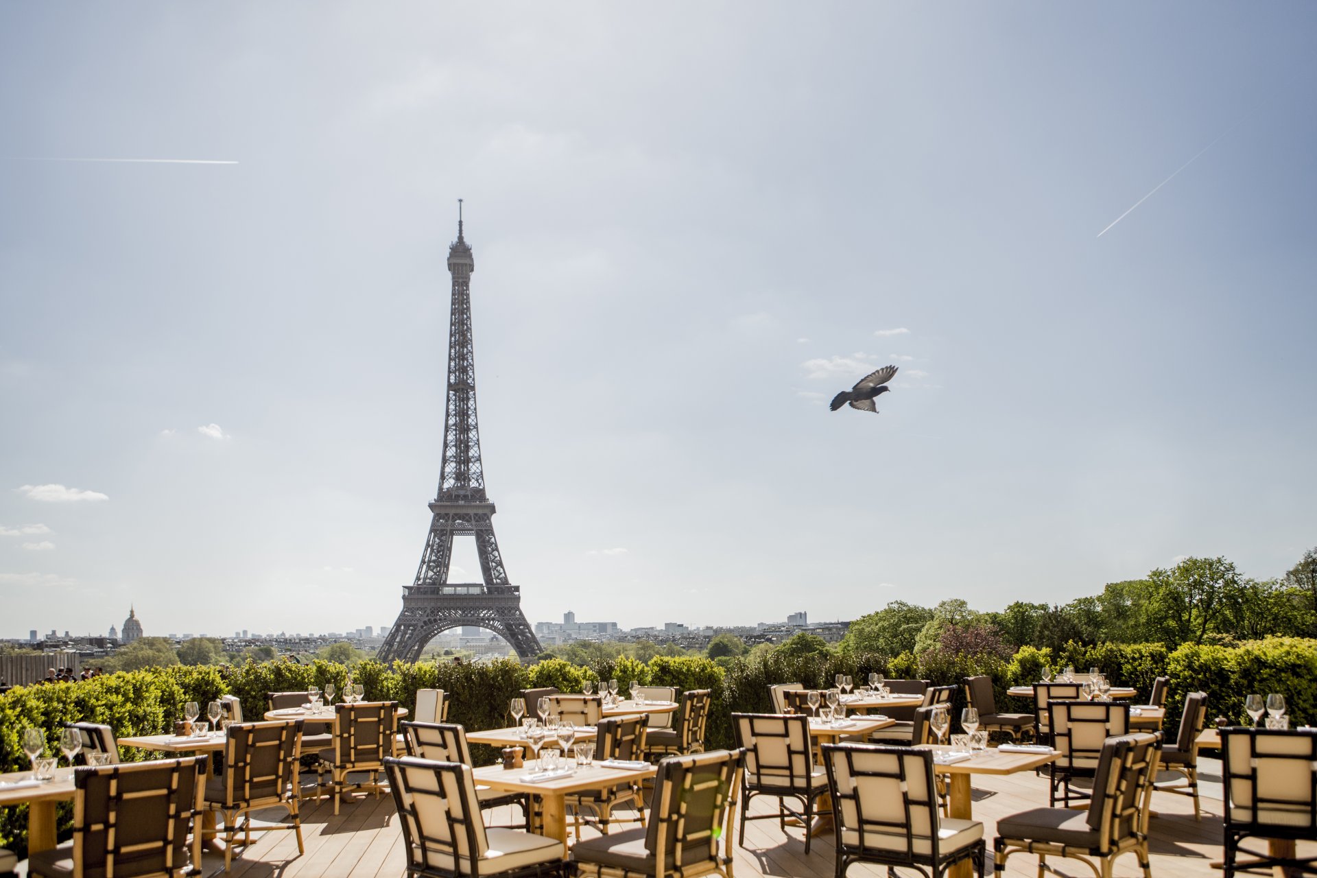 Najlepsze restauracje w Paryżu według lokalsów