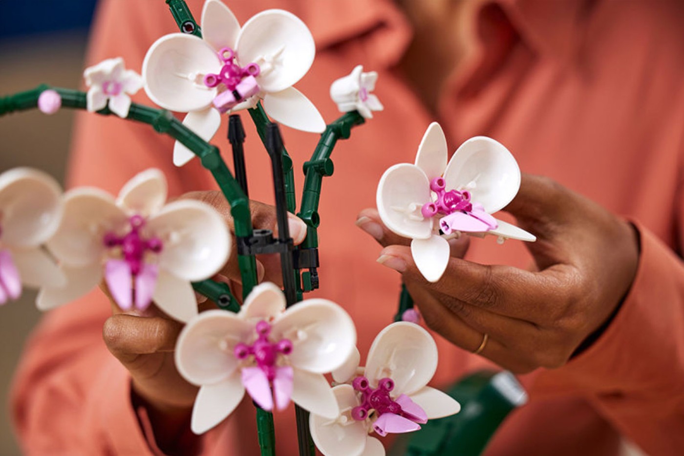 LEGO Creator przedstawia kwiat orchidei i sukulenty, których nie można zabić