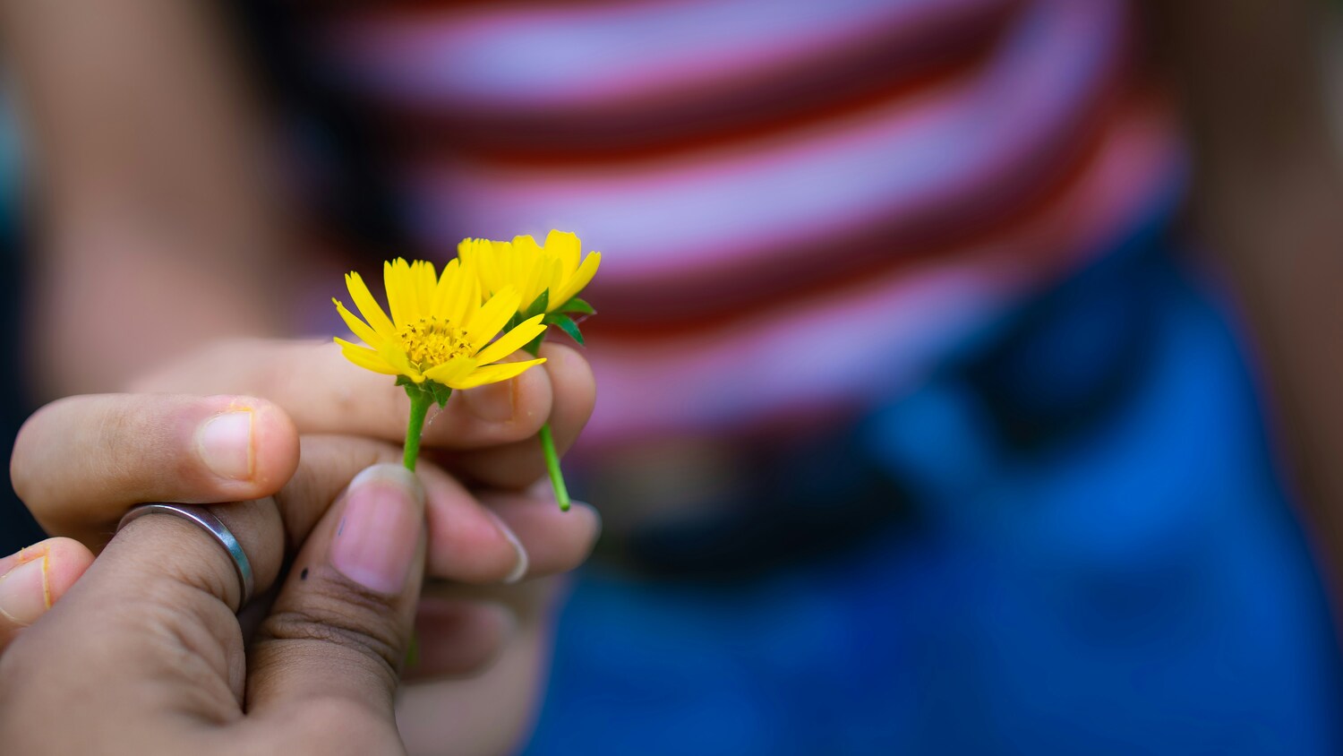 Wdzięczność – codzienna praktyka spokoju i dobrego samopoczucia