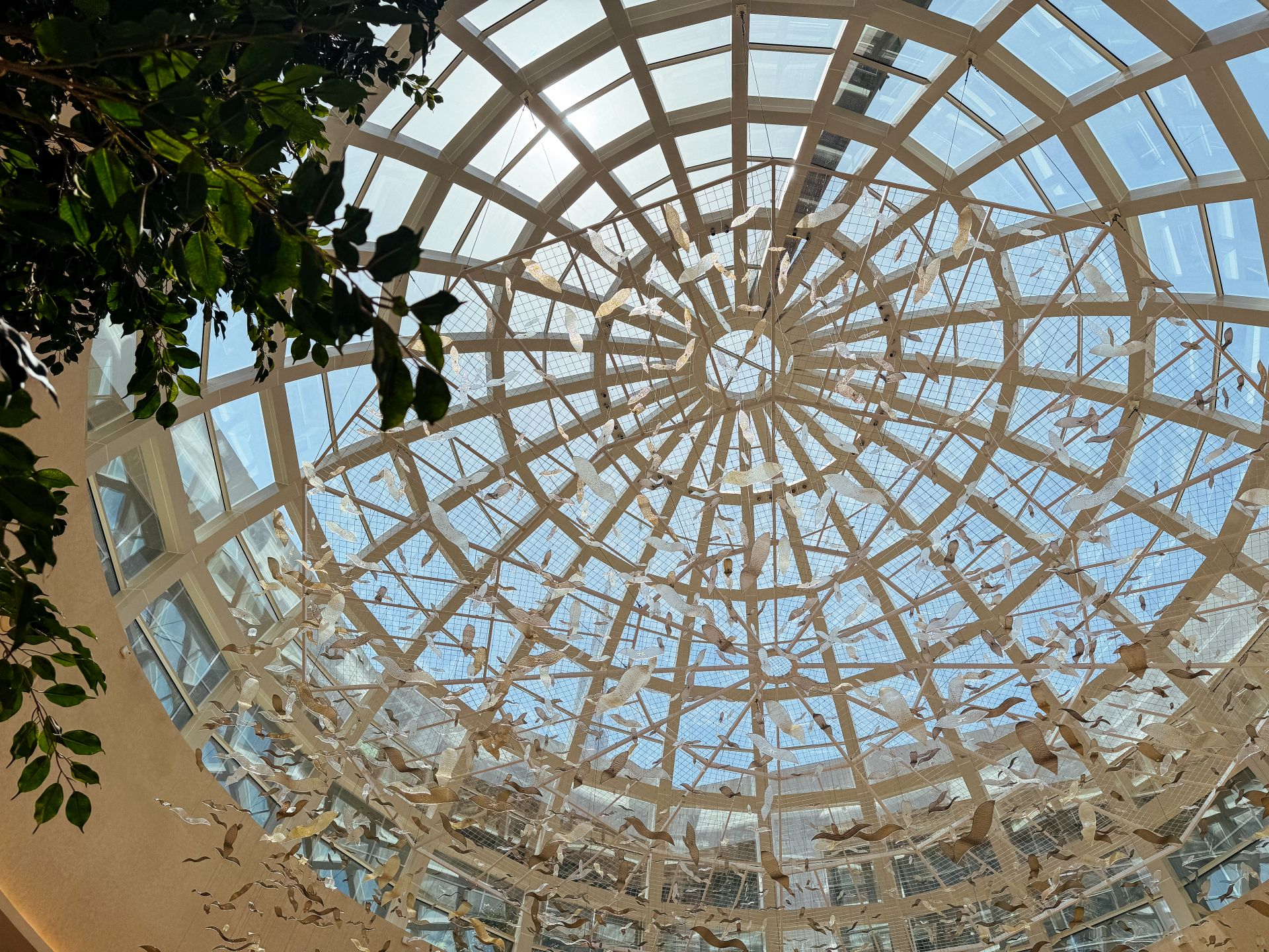 DOMOTEKA zaprasza na DOMOpasje.Spotkanie z Edytą Barańską – artystką, która mówi językiem szkła