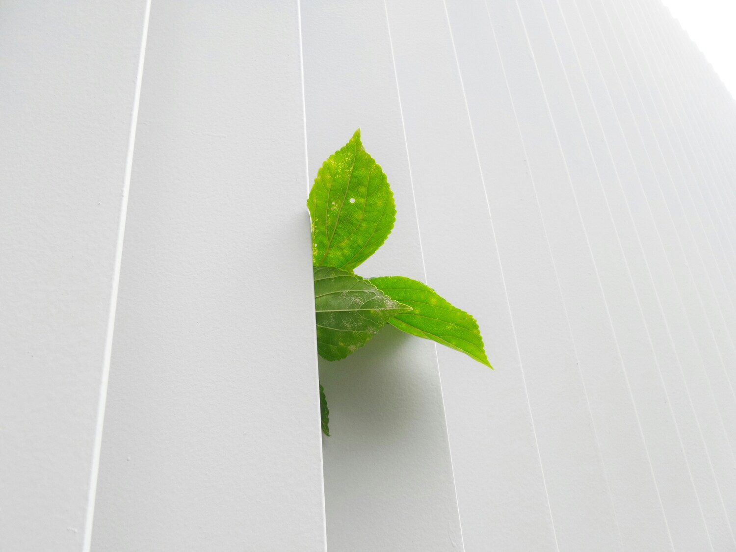 Nowa era podróżowania: jak łączyć odkrywanie świata z troską o planetę