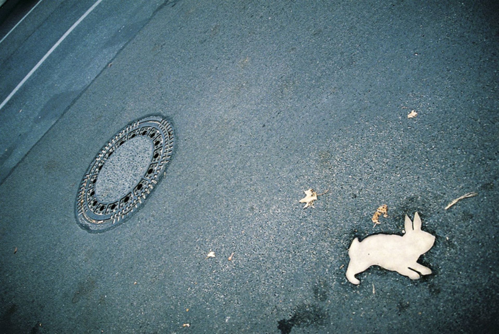 20 najlepszych polskich filmów dokumentalnych powraca na duży ekran!