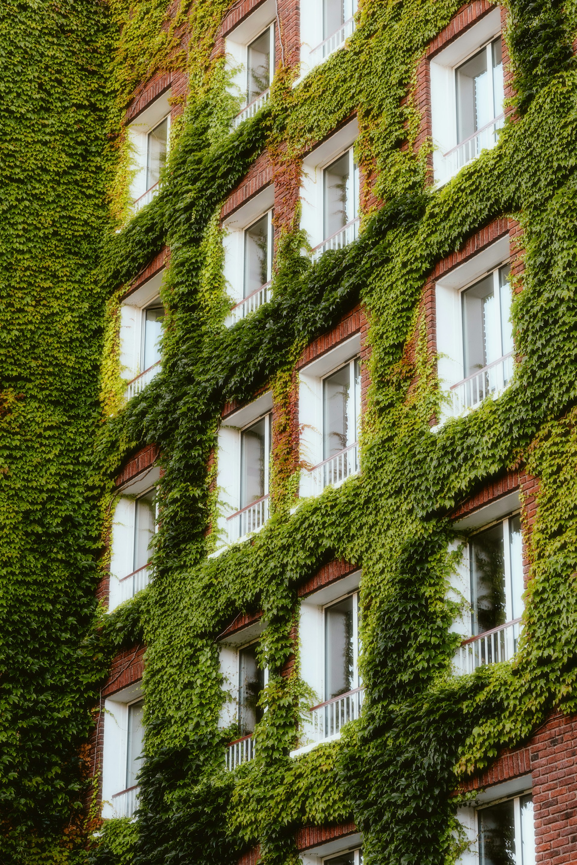Ogrody wertykalne i zielone fasady w miastach – zielona rewolucja w przestrzeniach publicznych