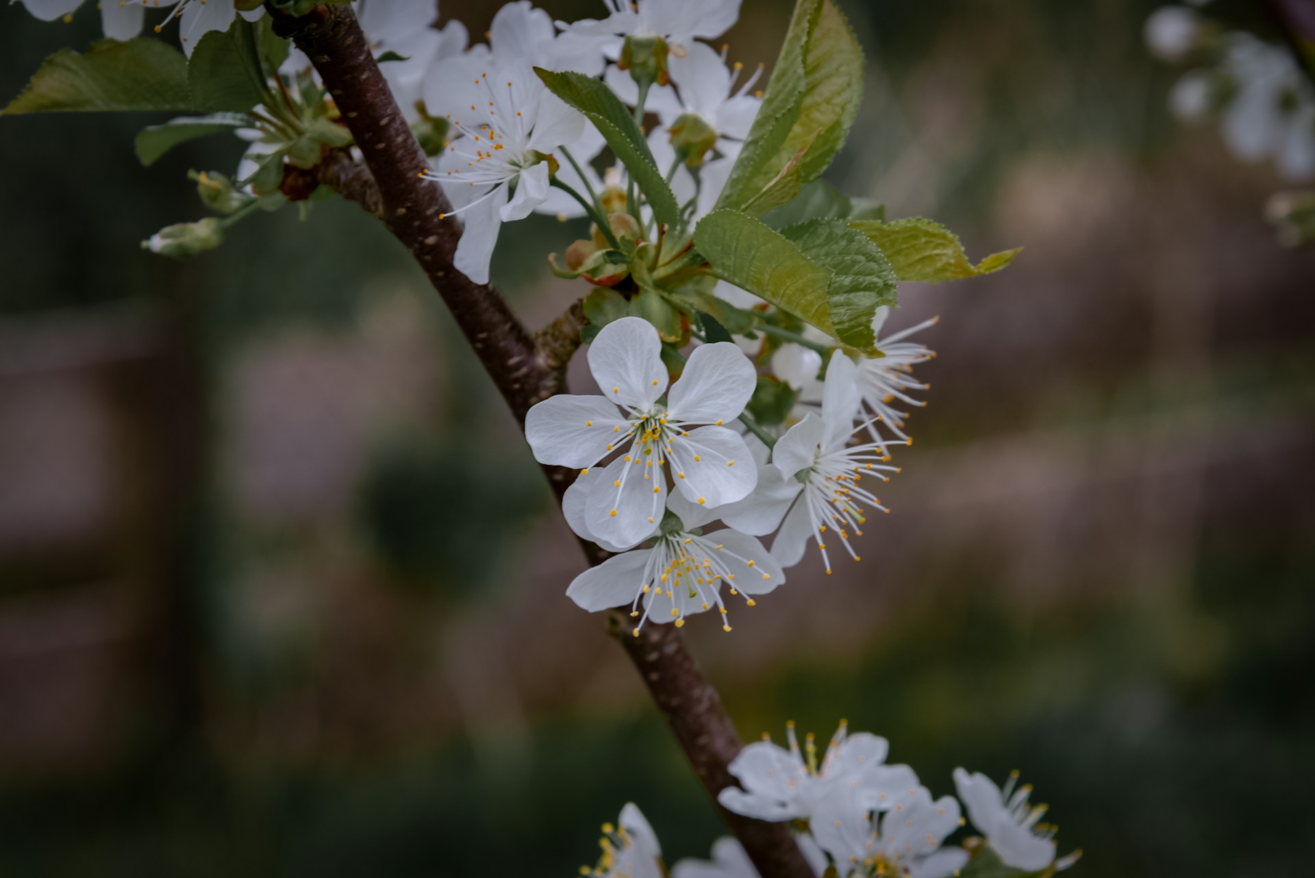 Wiosenny retreat wellness: jak odnowić ciało i umysł na progu nowego sezonu