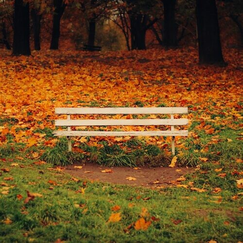 Sposoby na jesienną chandrę –...