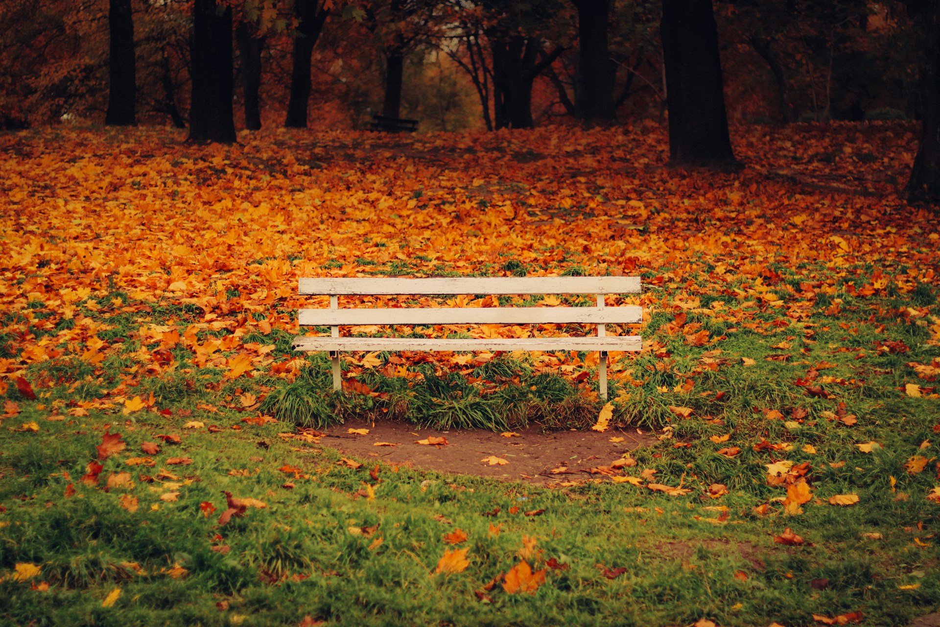 Sposoby na jesienną chandrę – co działa naprawdę, a co to tylko mit?