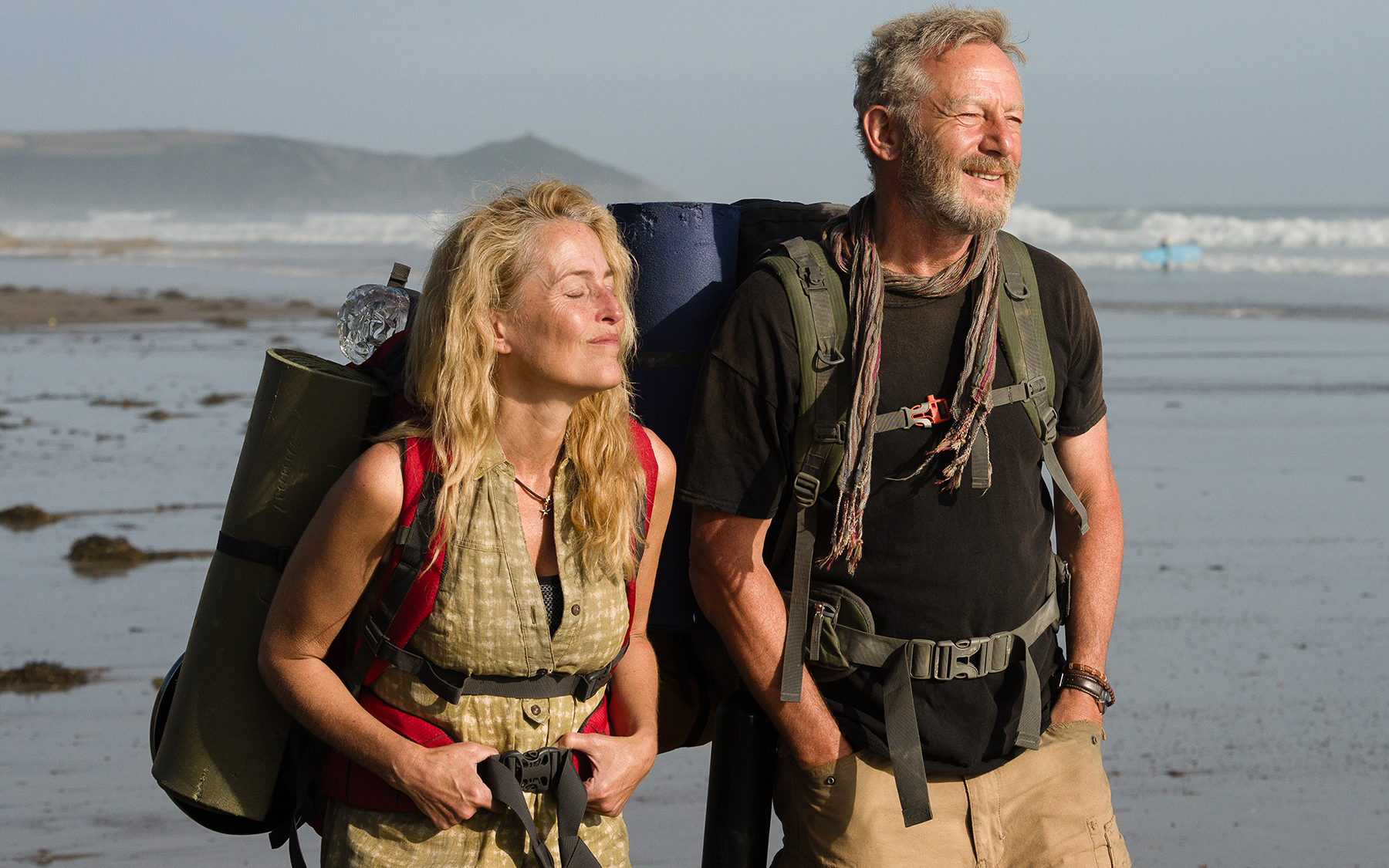 Gillian Anderson wraca na kinowe ekrany