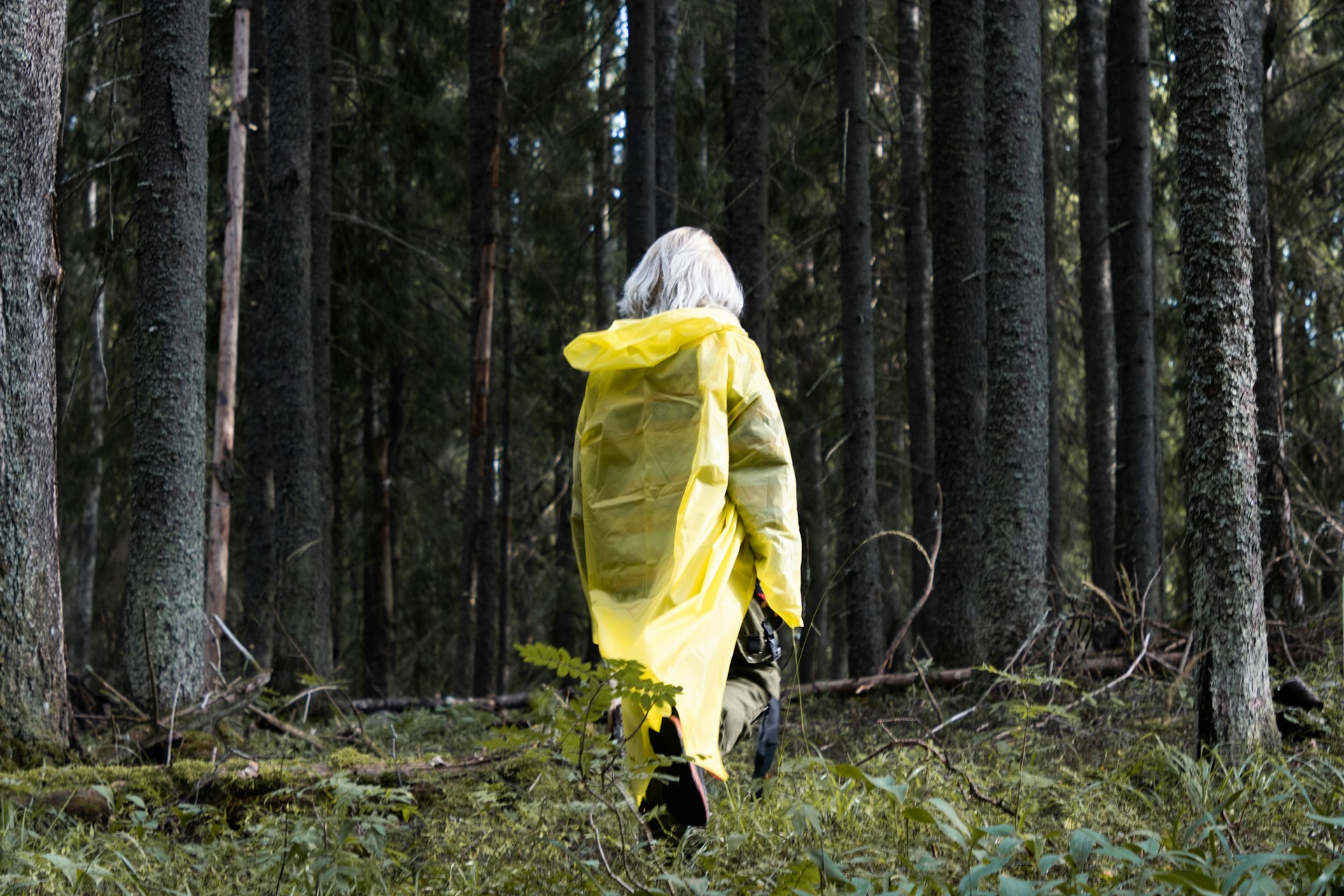 Siwe włosy – skąd się biorą i&nbsp;co oznaczają?