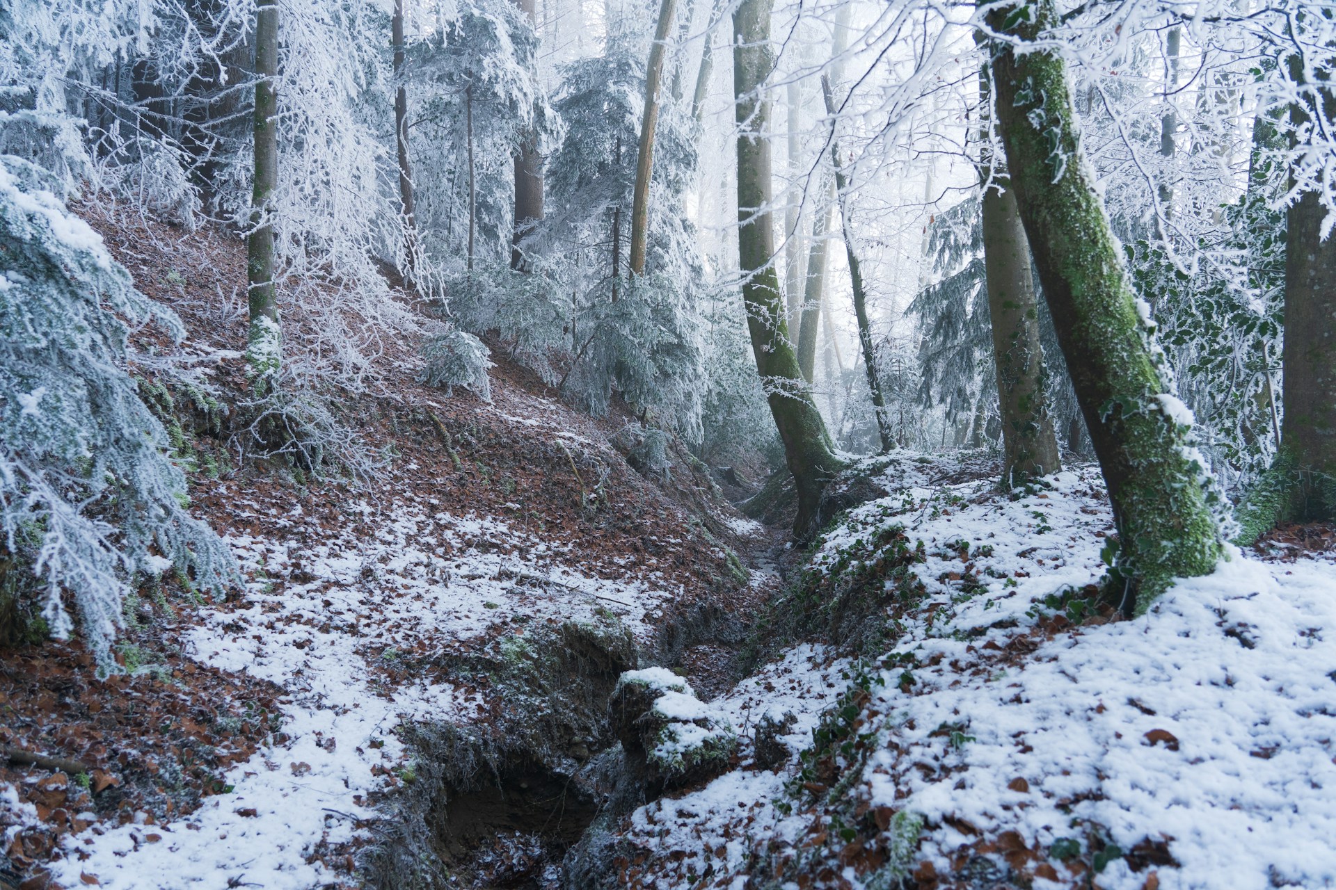 Trening i natura – jak sport na świeżym powietrzu wspiera równowagę?