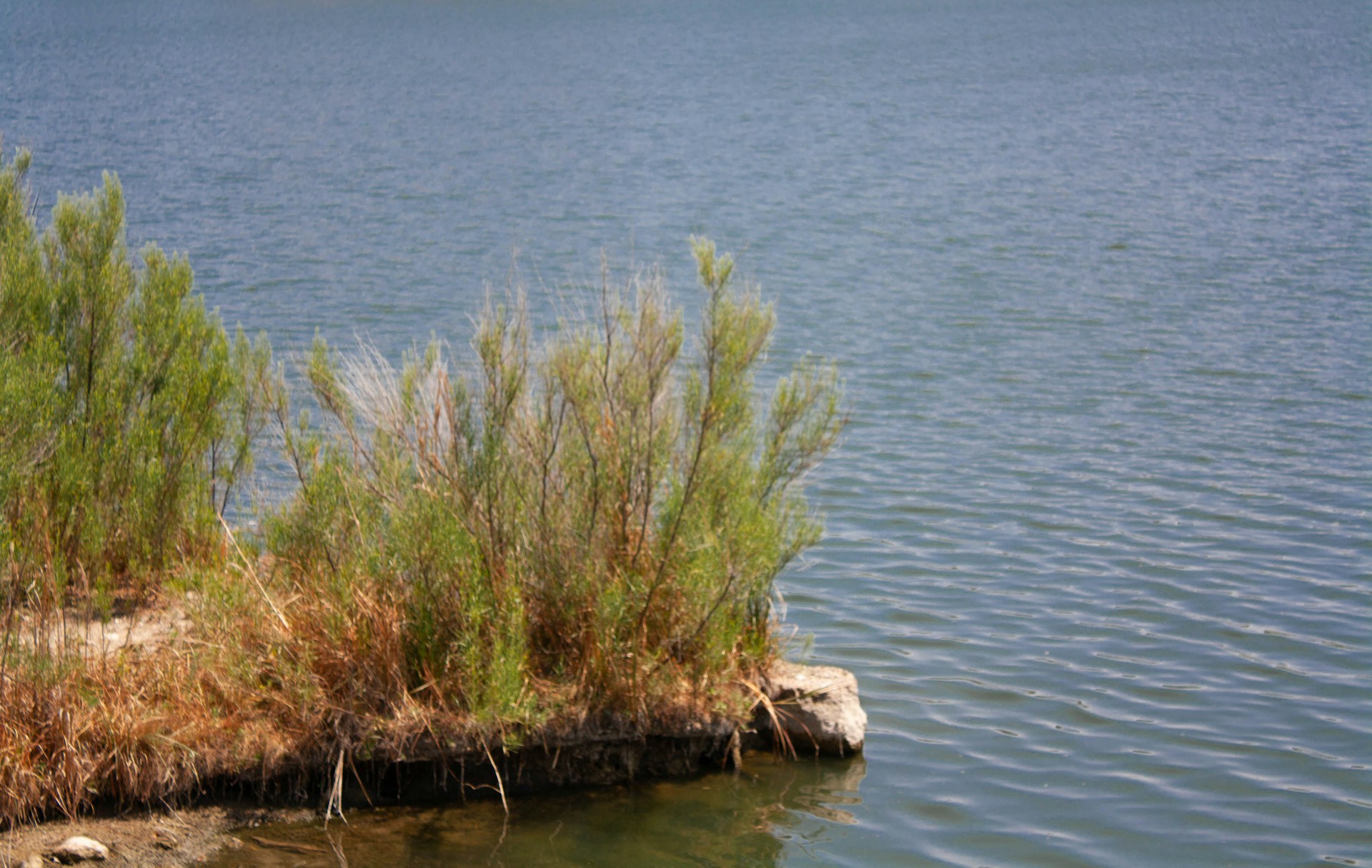 Zamki nad wodą – romantyczne podróże w czasie